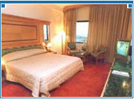 Guest Room at Hotel LMB, Jaipur 