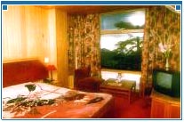Guest Room at Hotel Shingar, Shimla