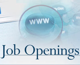 Job Openings at iloveindia.com