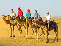 India Camel Safari