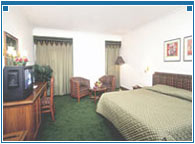 Guest Room at Hotel Pearless Inn, Kolkata